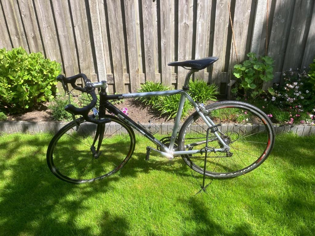 Racefiets Gazelle Dauphine, maat 54, Ultegra, Ophalen, Gebruikt, Velgrem, Aluminium