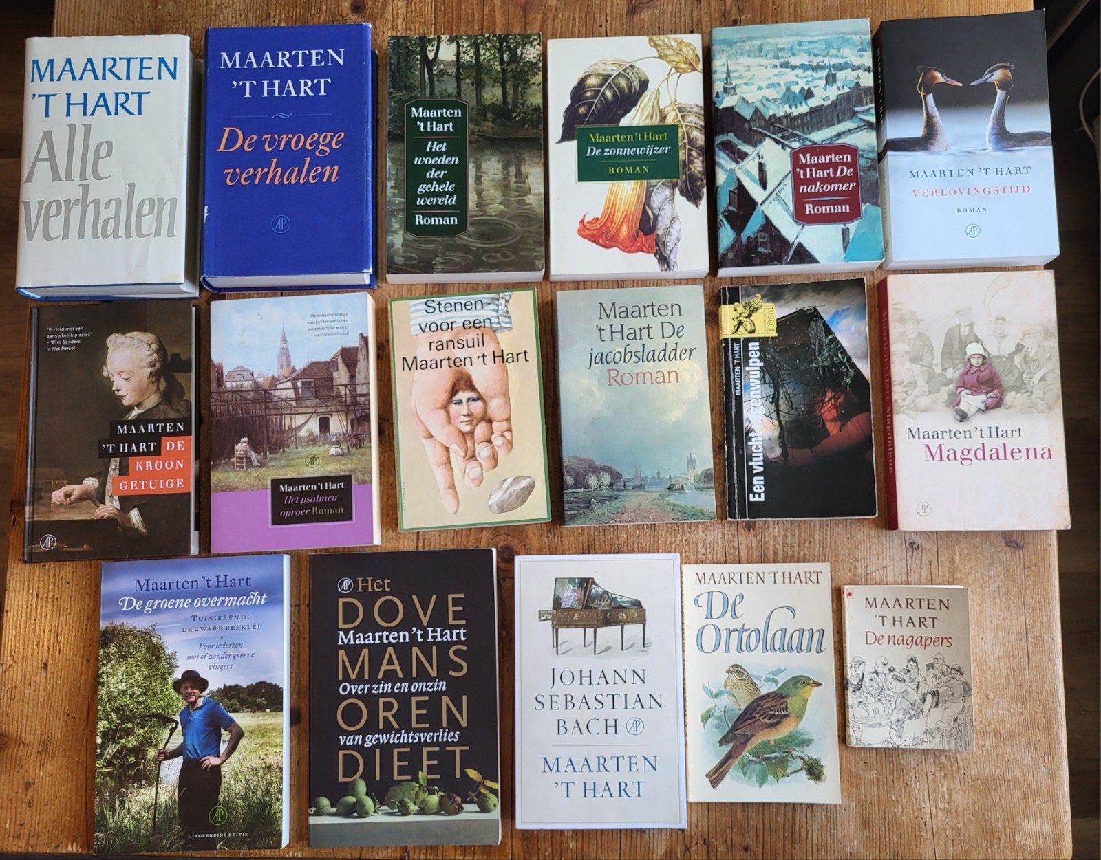 18 romans / novelles van Maarten 't Hart, Ophalen of Verzenden, Gelezen, Maarten 't Hart, Nederland