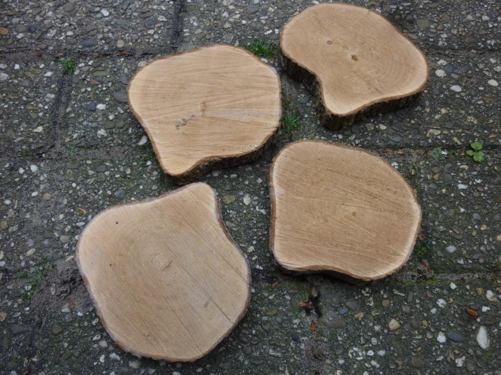 Aantal houten schijven ong. 13 cm en 2 ong. 20 cm, Doe-het-zelf en Verbouw, Hout en Planken, Minder dan 25 mm, Eiken, Ophalen of Verzenden