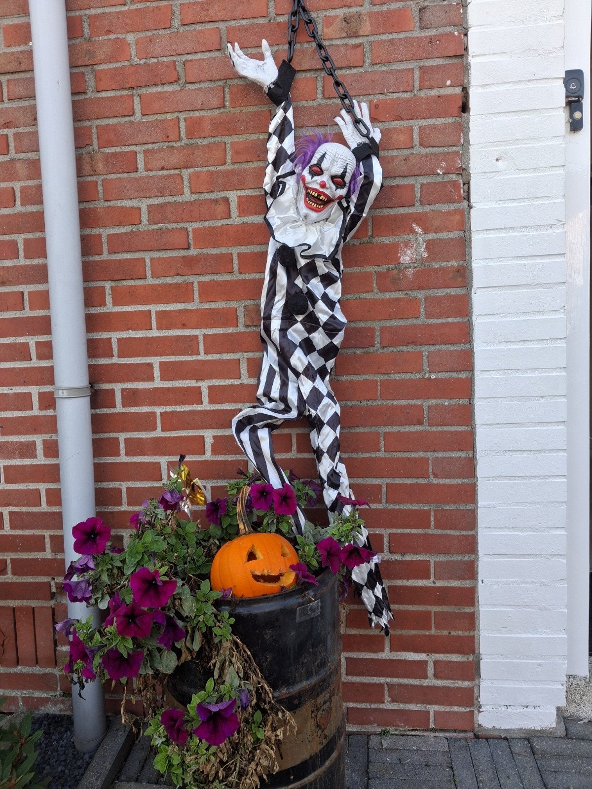 Halloween Clown, Ophalen of Verzenden, Overige materialen
