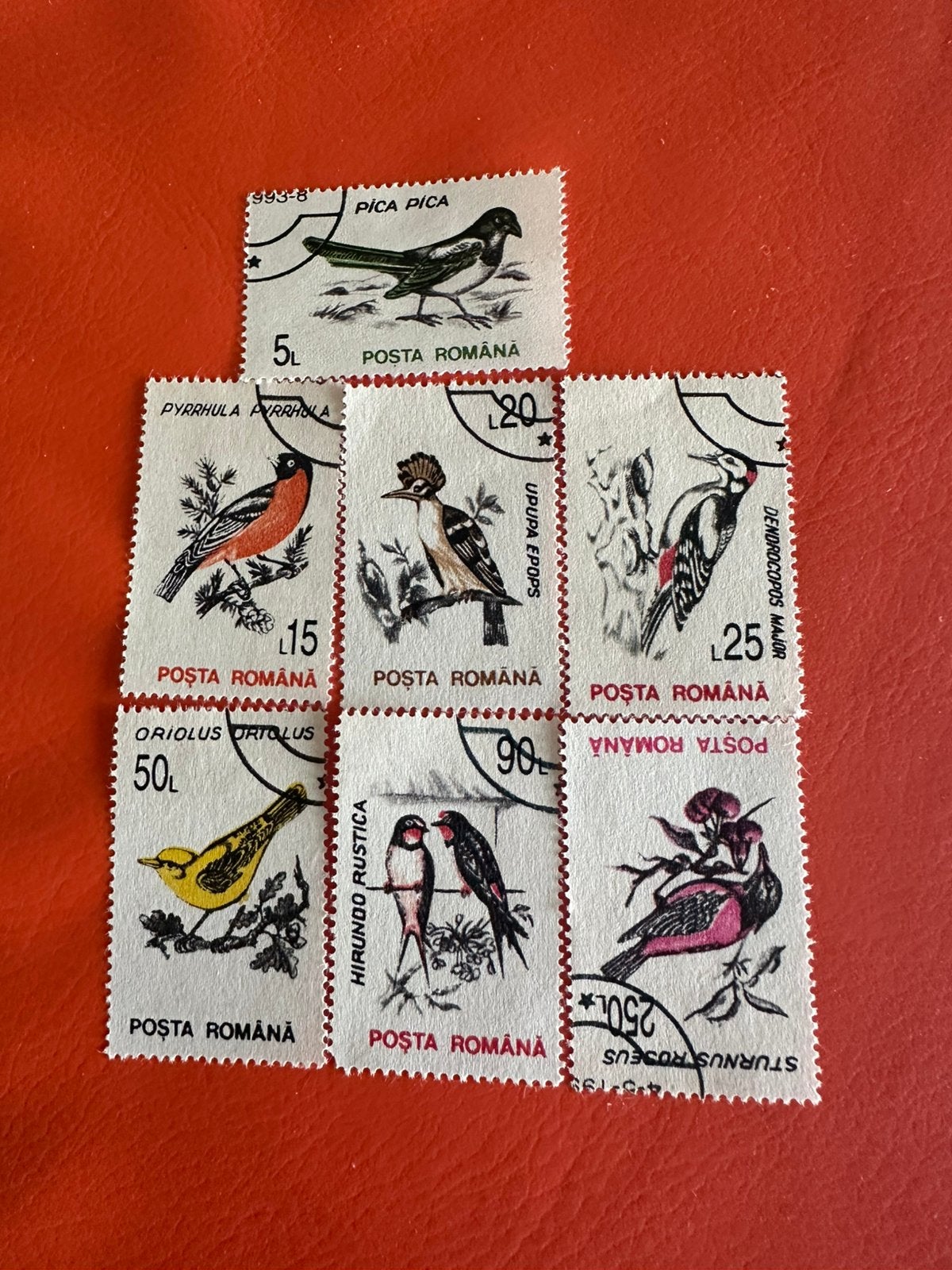 Series Vogels, Ophalen of Verzenden, Dier of Natuur