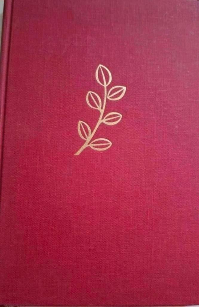 Okke Jager - Wij mogen van geluk spreken, Boeken, Ophalen of Verzenden, Gelezen, Okke Jager