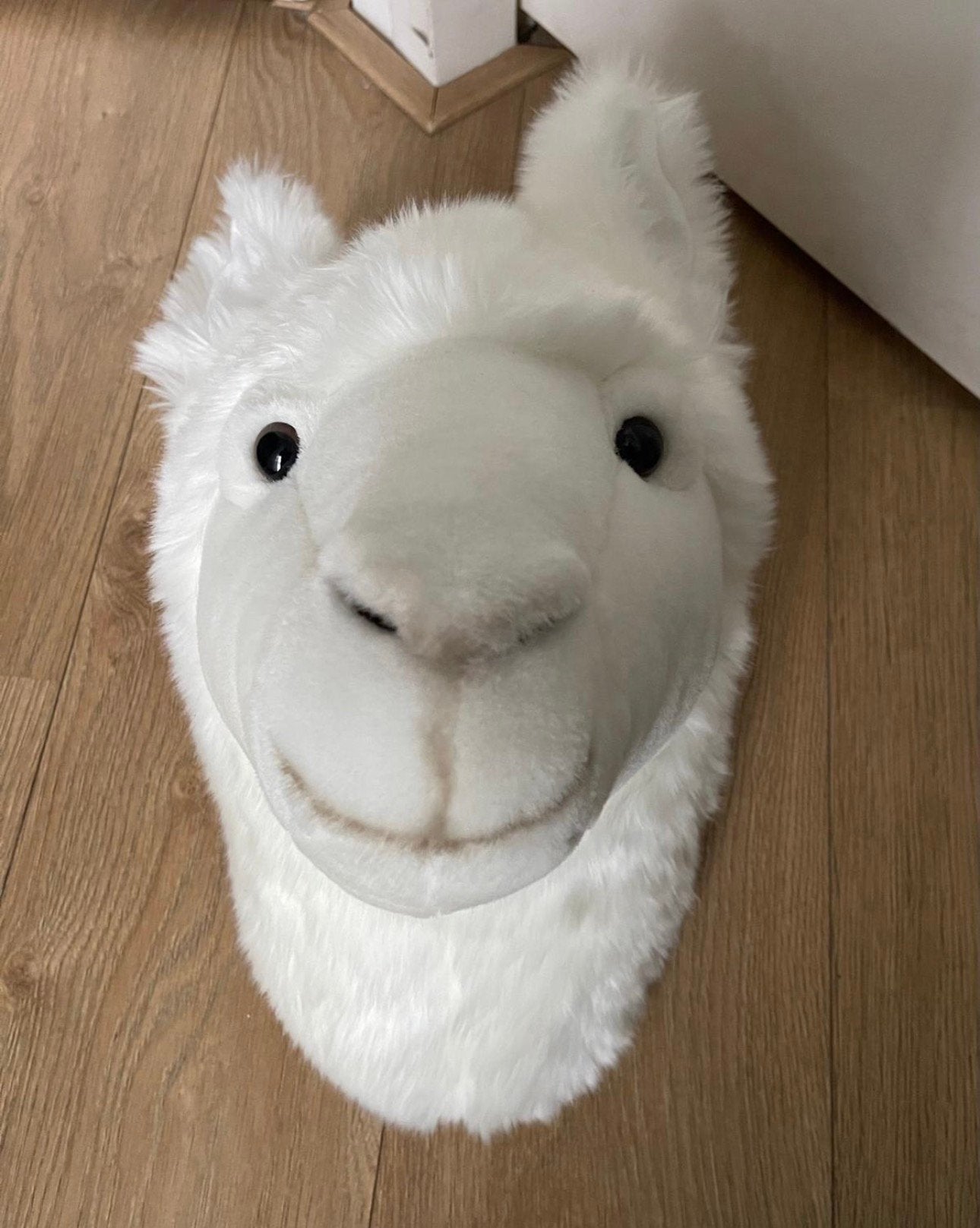 Wild and soft Lama, Kinderen en Baby's, Ophalen of Verzenden, Zo goed als nieuw, Wanddecoratie