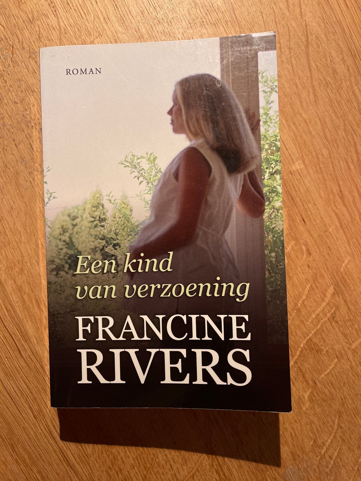 Een kind van verzoening - Francine Rivers (Roman), Ophalen of Verzenden, Gelezen, Nederland
