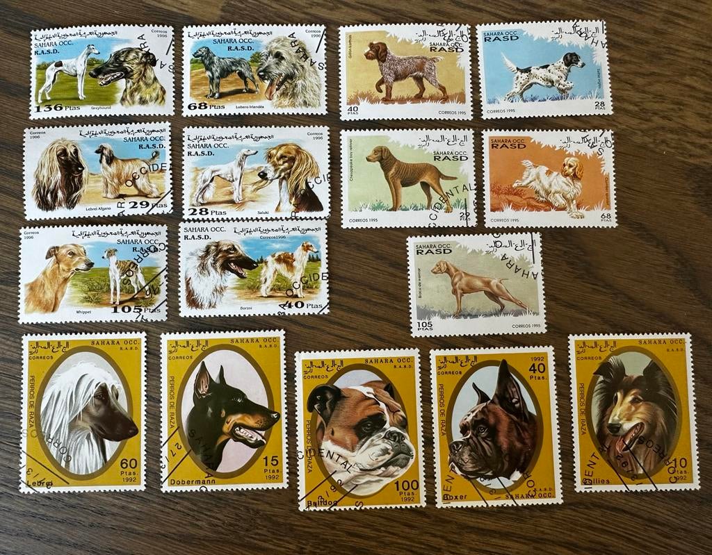 Westelijke Sahara 1992-1996: Gestempeld honden postzegels, Postzegels en Munten, Ophalen of Verzenden, Overige landen, Gestempeld