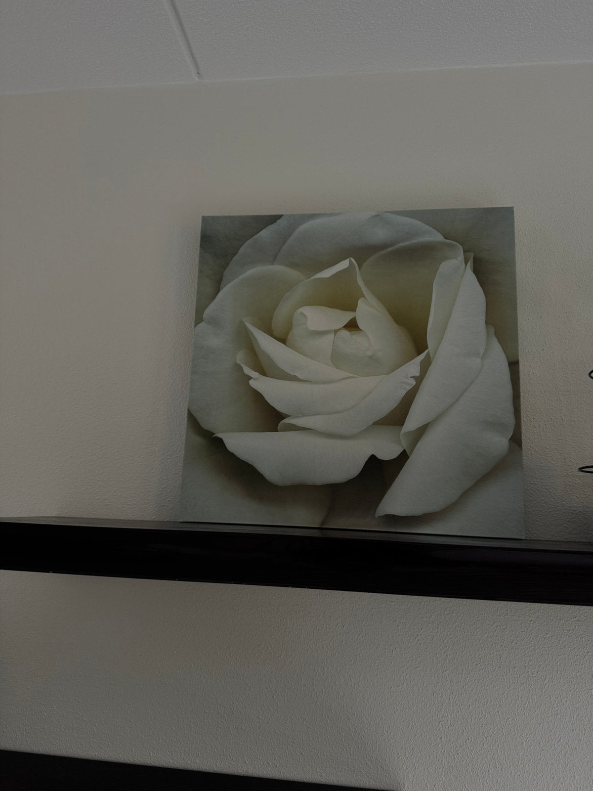 Bloemen schilderij, Ophalen, Zo goed als nieuw, Minder dan 50 cm, Schilderij