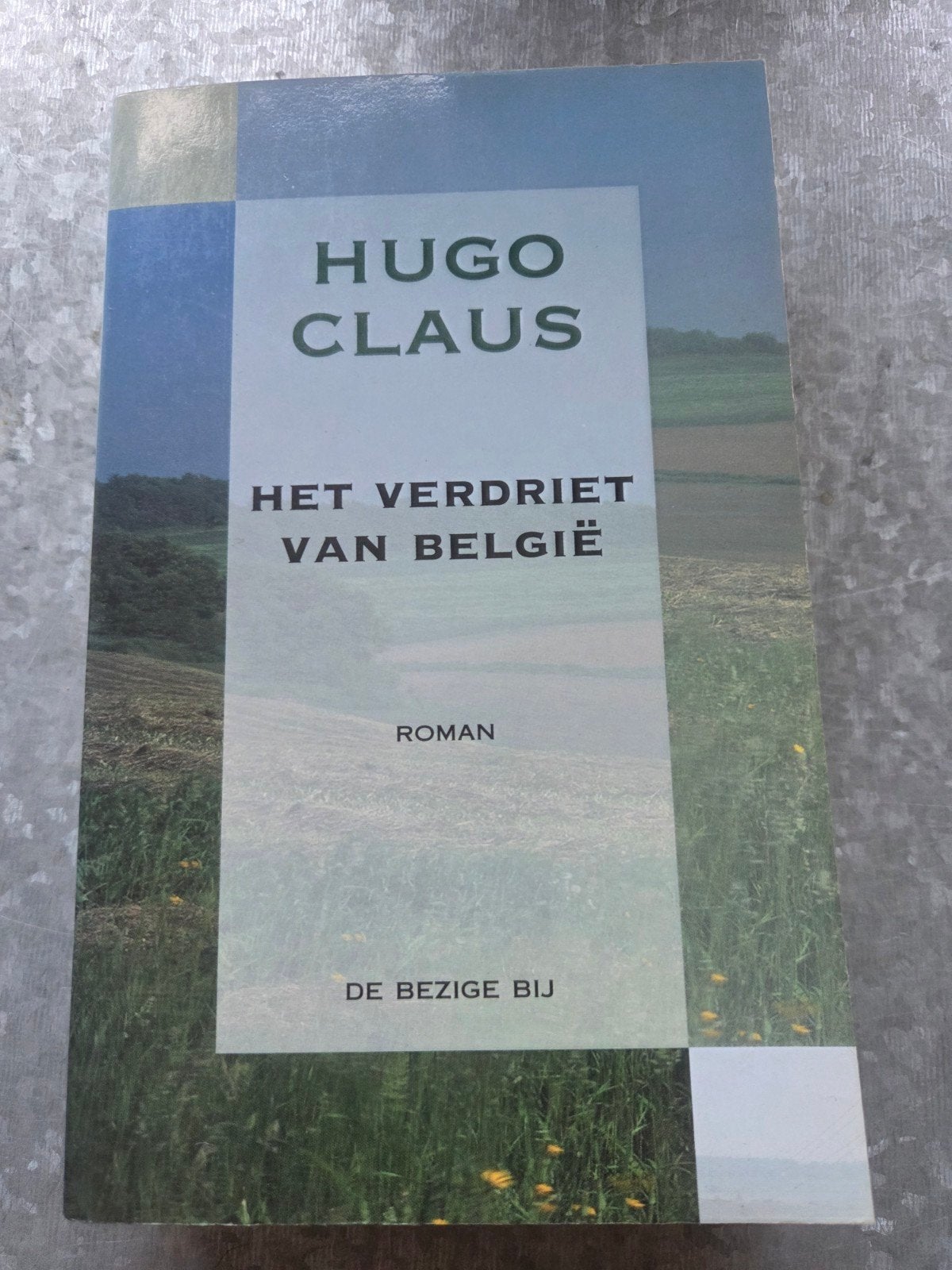 Het Verdriet van België - Hugo Claus (Roman), Ophalen of Verzenden, Gelezen, Hugo Claus, België