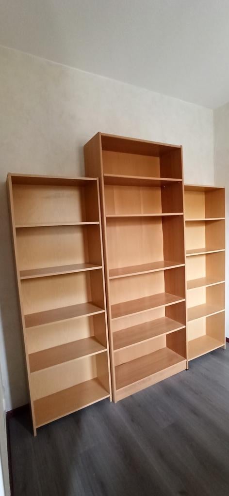 Boekenkasten in Tilburg, Huis en Inrichting, Kasten | Boekenkasten, Ophalen of Verzenden, 25 tot 50 cm, 150 tot 200 cm