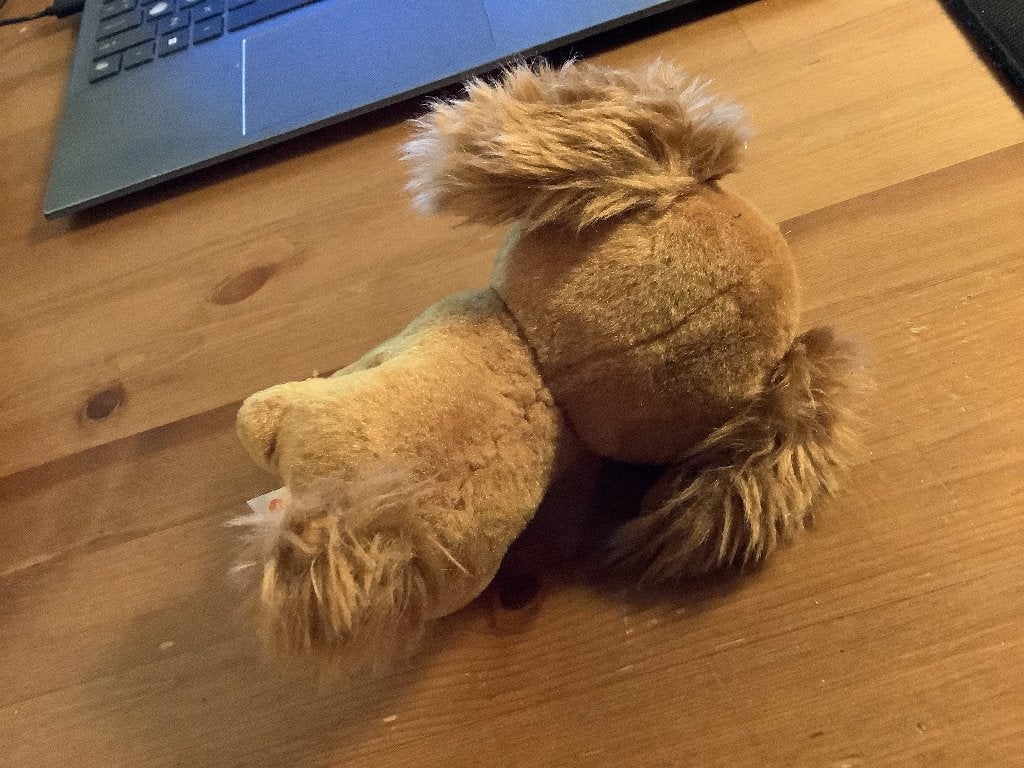 TY Beany Boo kunffel Tala de hond, 2017. 15 cm, Gebruikt, Met label, Ty, Hond
