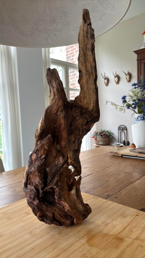 Artistiek hout, Ophalen, Zo goed als nieuw, Tak, Plant, Rots of Steen