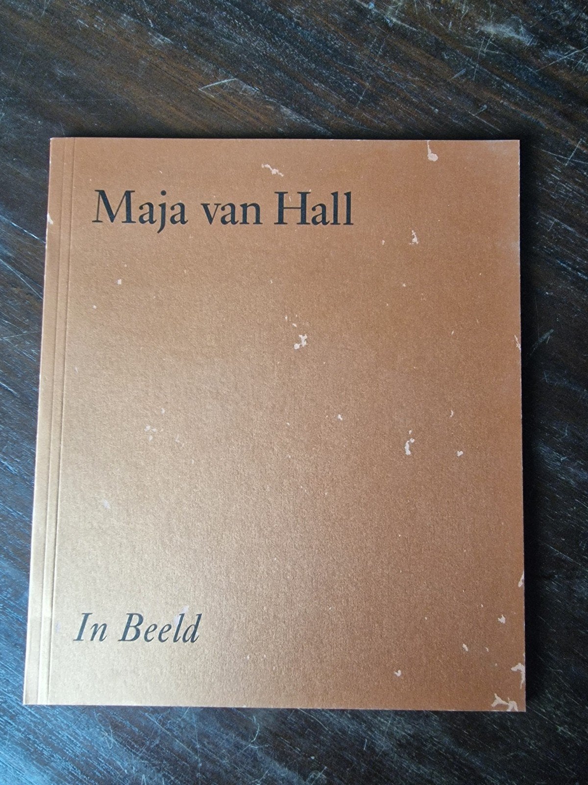 Maja van Hall - In Beeld (Kunstboek), Ophalen of Verzenden