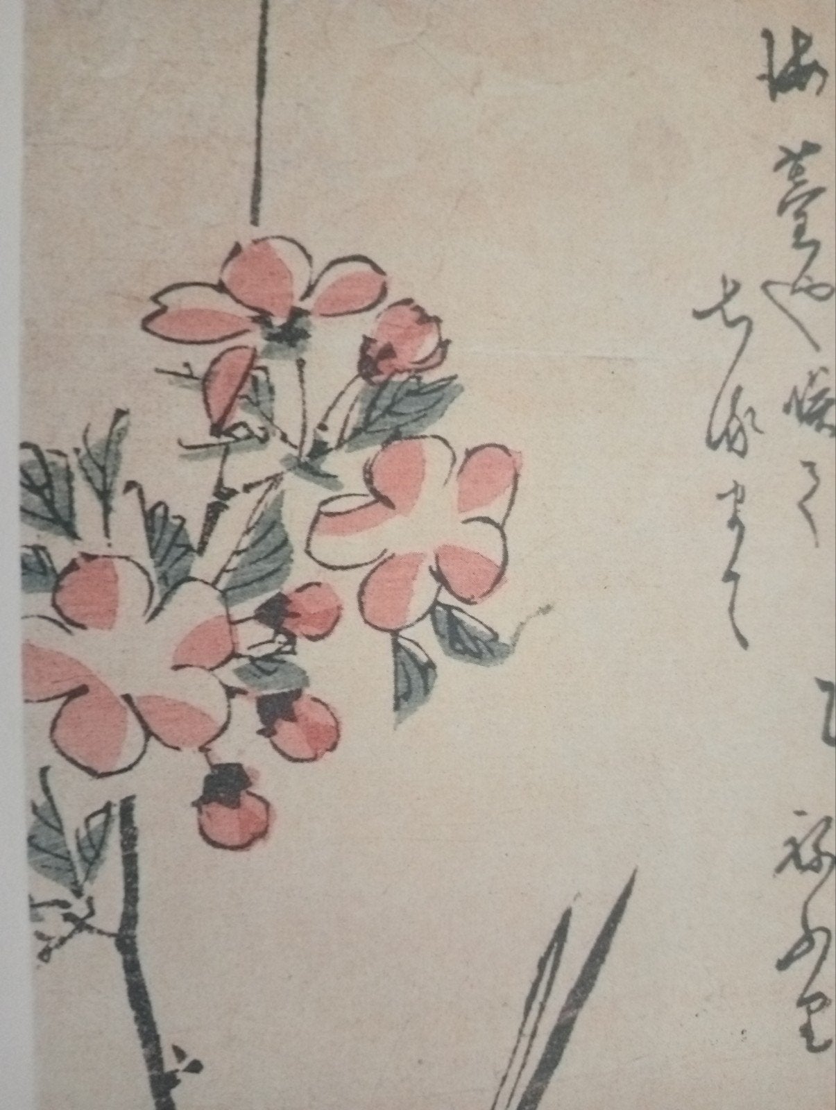 Vogel Japan offset prent 20e eeuw, Antiek en Kunst, Ophalen of Verzenden