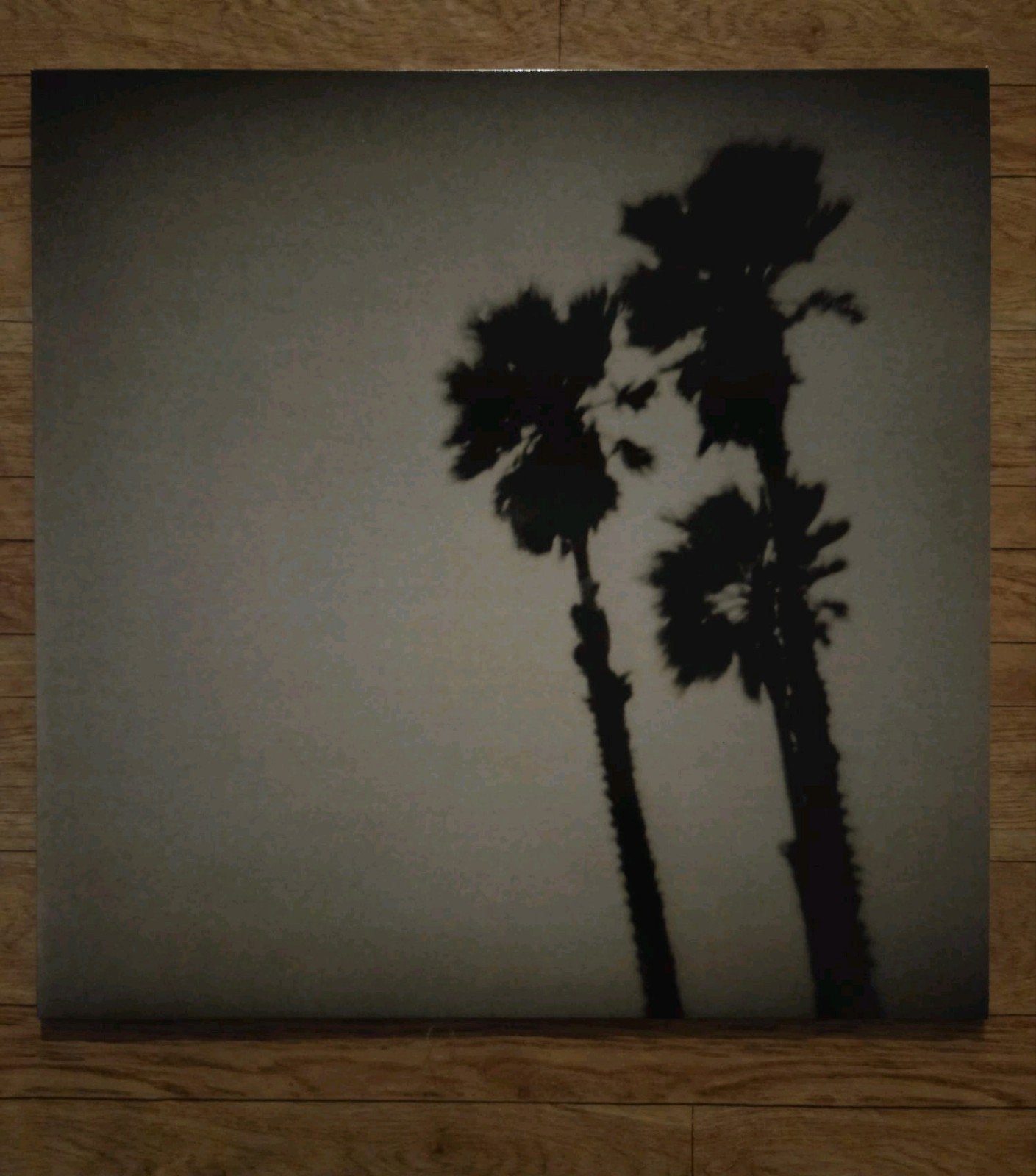 The Twilight Singers Blackberry Belle LP, Ophalen of Verzenden, Zo goed als nieuw, 12 inch, Poprock