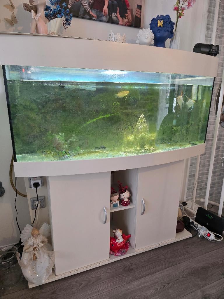 Gratis grote aquarium, Ophalen, Gebruikt