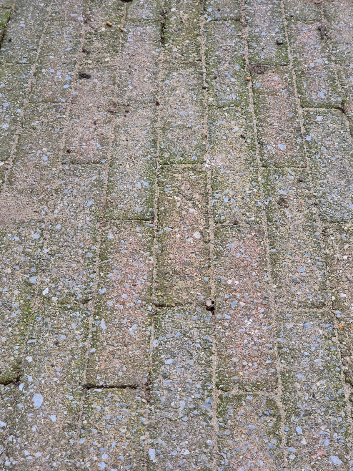 Gratis af te halen, straatstenen Waalformaat 20x5x8, Ophalen of Verzenden, Gebruikt, Beton, Klinkers