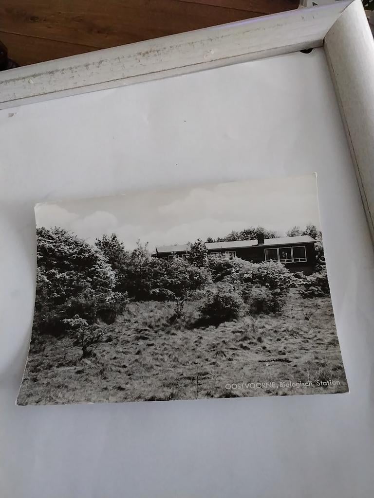 OOSTVOORNE. BIOLOGISCH STATION, Ophalen of Verzenden