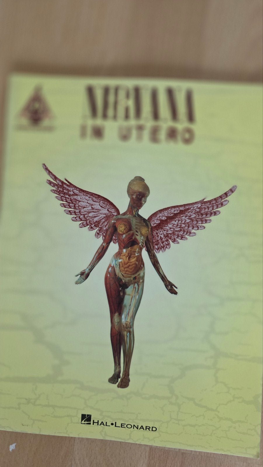 Nirvana In Utero Gitaar Tablatuur Boek - Hal Leonard, Gitaar, Ophalen of Verzenden, Zo goed als nieuw, Rock en Metal