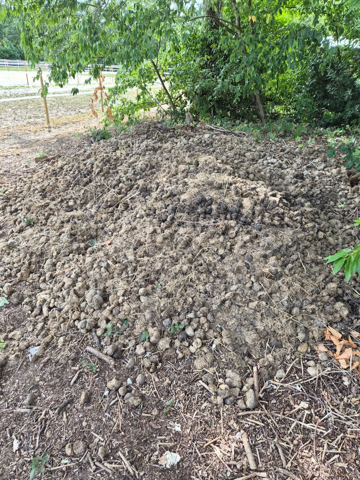 Paardenmest gratis af te halen, Tuin en Terras, Ophalen, Mest