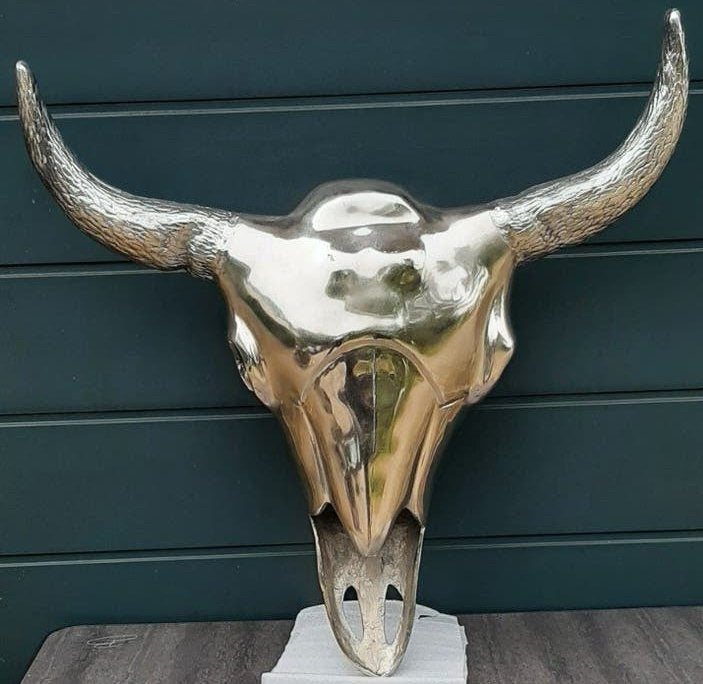 Prachtige grote Waterbuffel schedel, Skull. Sculptuur, Ophalen, Metaal, Wandsculptuur, Zilver