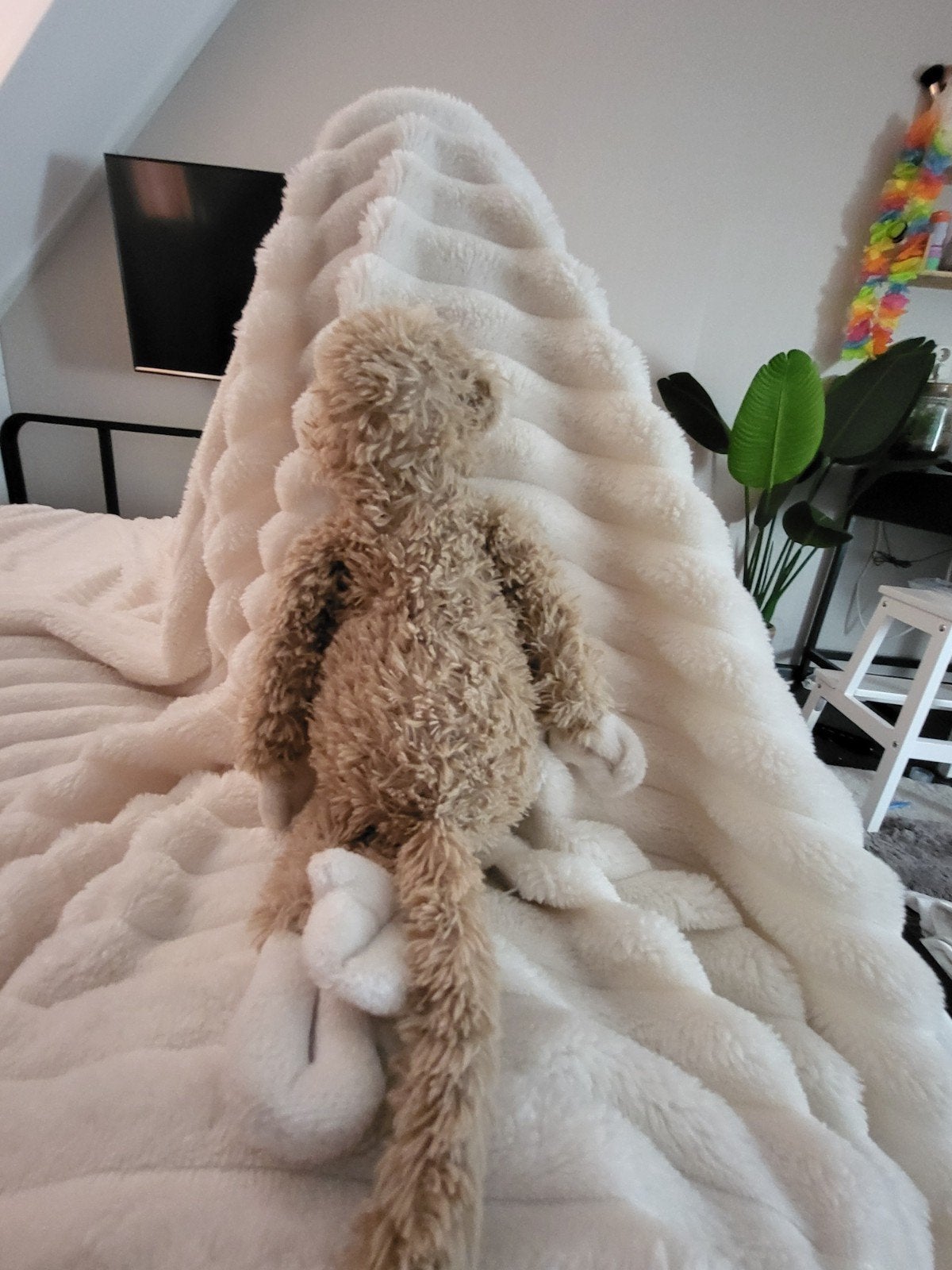 het liefst contand, Ophalen, Beige, Nieuw, Wasbaar