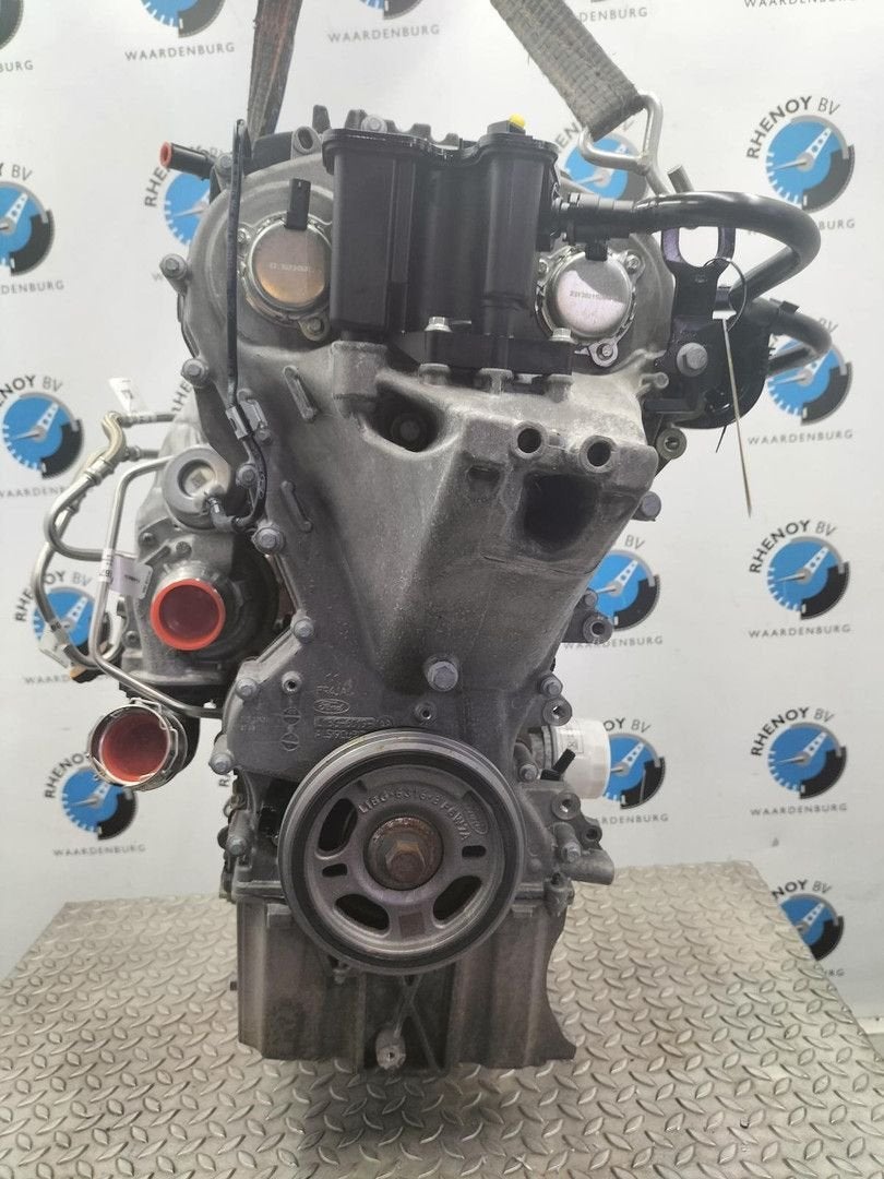 FORD PUMA TITANIUM MOTOR N1BG6006TA 2024, Ophalen of Verzenden, Gebruikt, Stiba lid