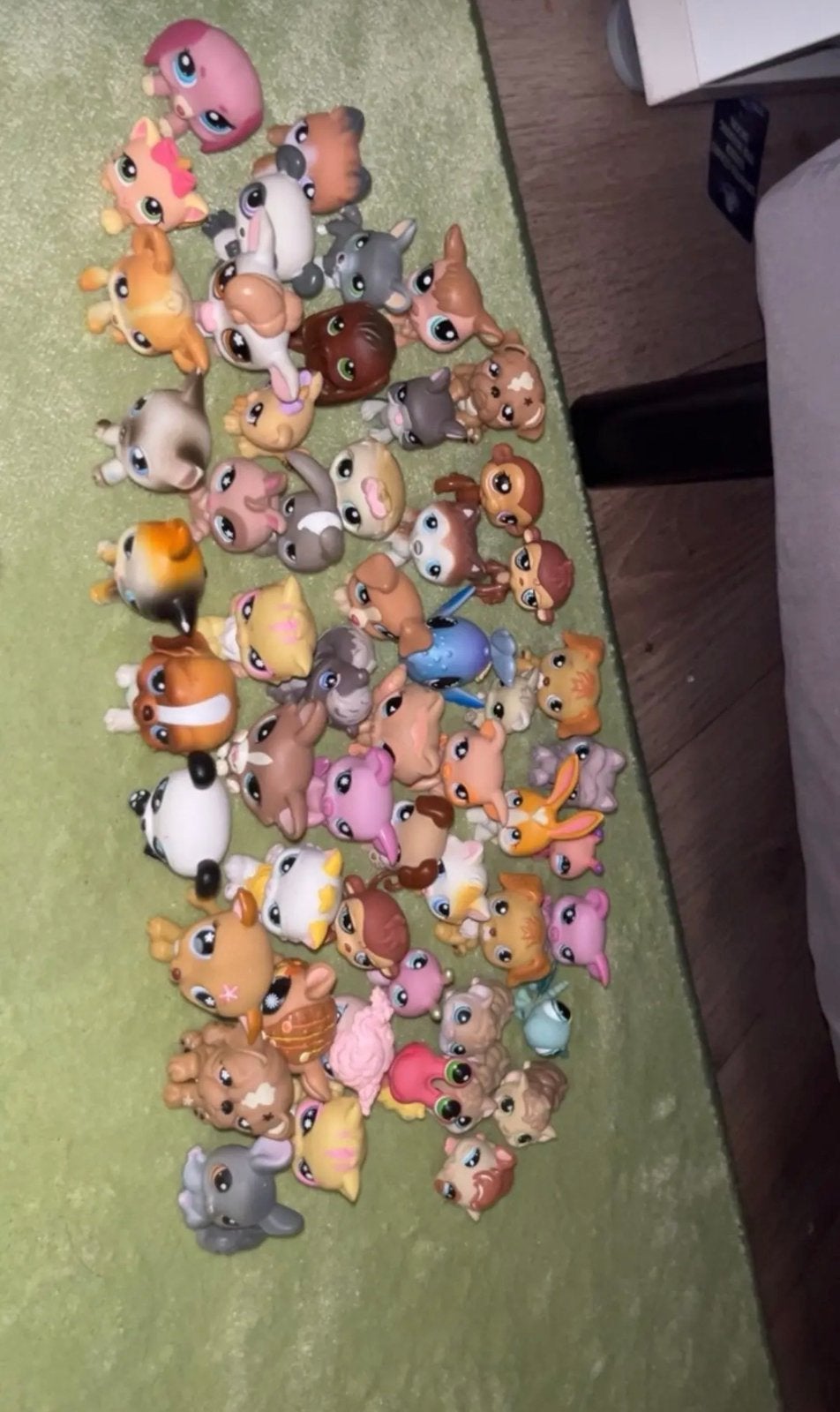 Littlest pet shop, Ophalen