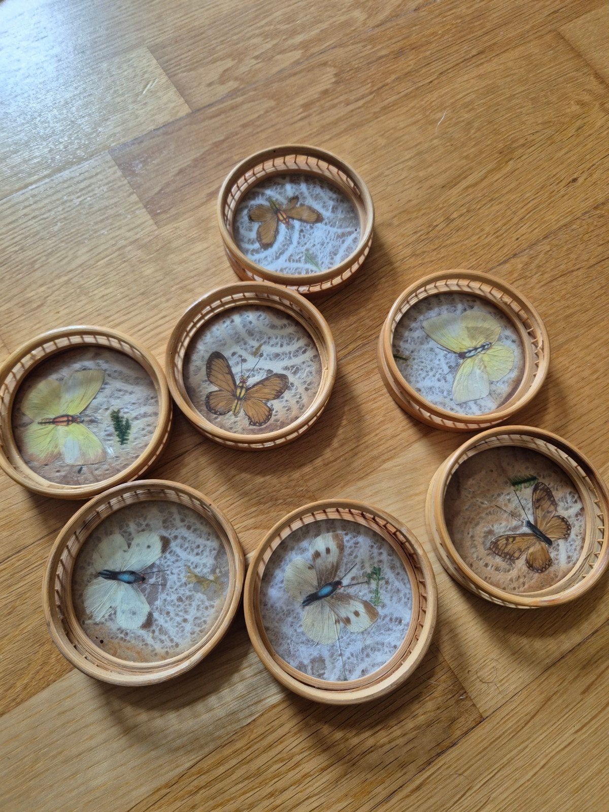Vintage taxidermie vlinder onderzetters, Ophalen of Verzenden