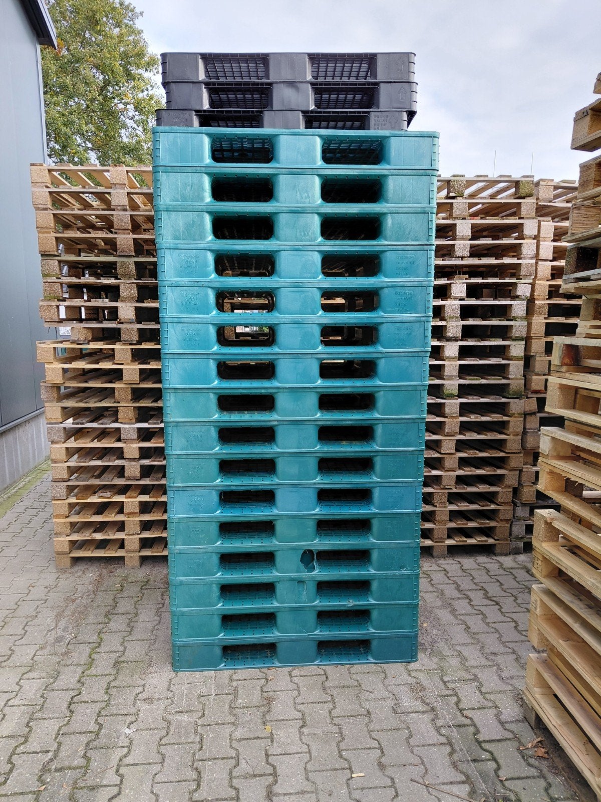 kunststof pallets 100x120cm  16 stuks, Gebruikt, Minder dan 25 mm, Ophalen of Verzenden, Pallet