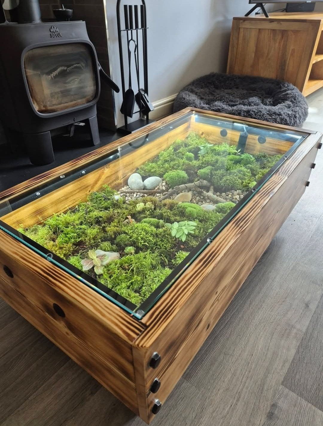 Unieke salontafel met terrarium - 60x120 cm, Ophalen, Gebruikt, Overige houtsoorten, 50 tot 100 cm