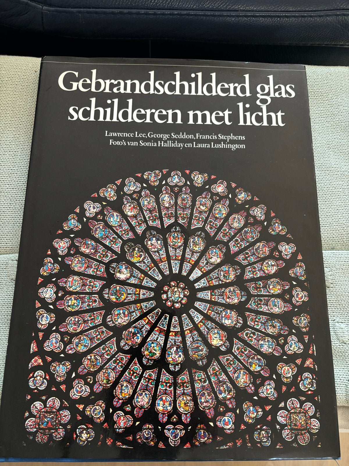 Gebrandschilderd glas: schilderen met licht, Ophalen of Verzenden, Zo goed als nieuw, Overige onderwerpen