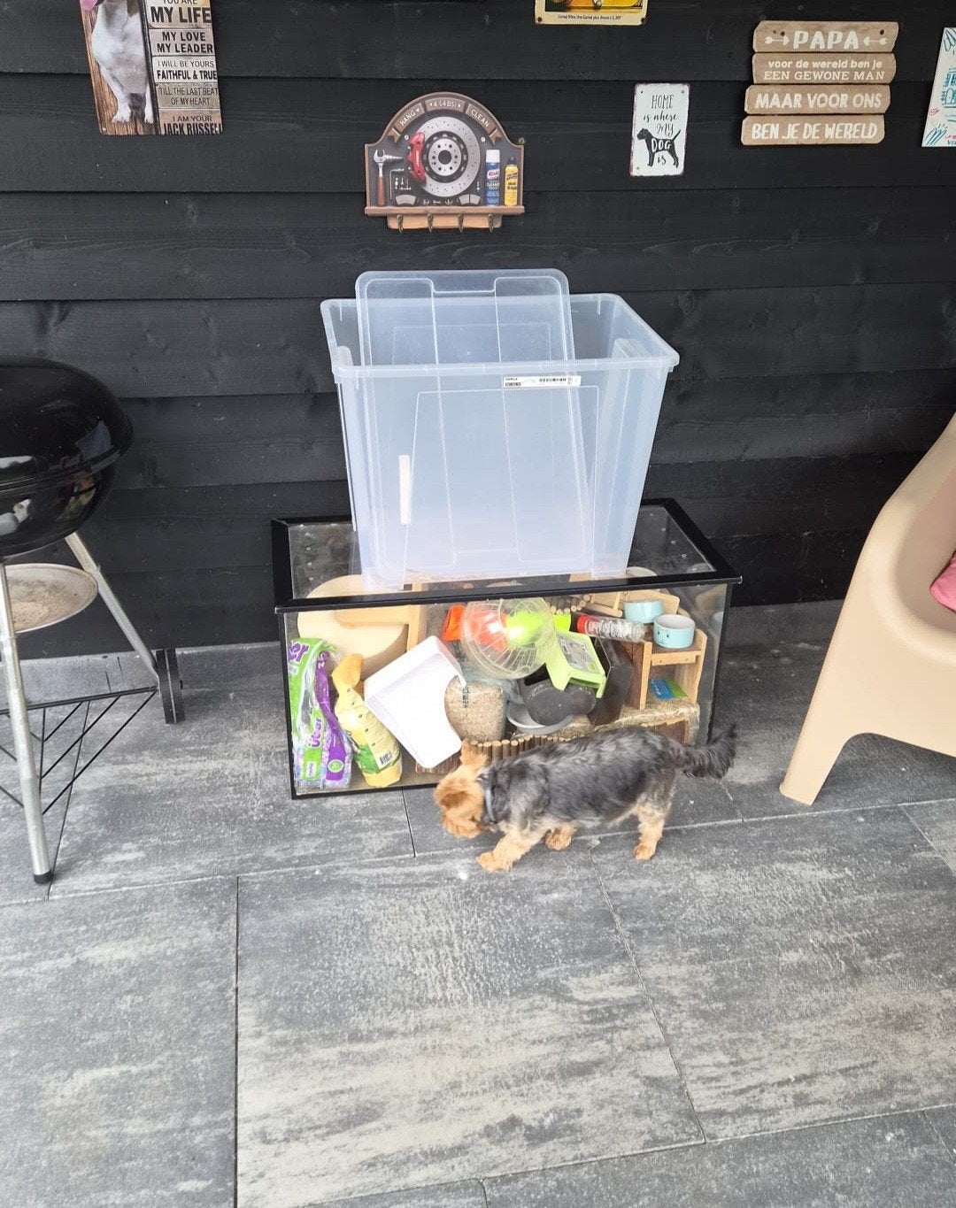 Terrarium voor hamster, Dieren en Toebehoren, Ophalen, Zo goed als nieuw, Minder dan 75 cm, Minder dan 65 cm