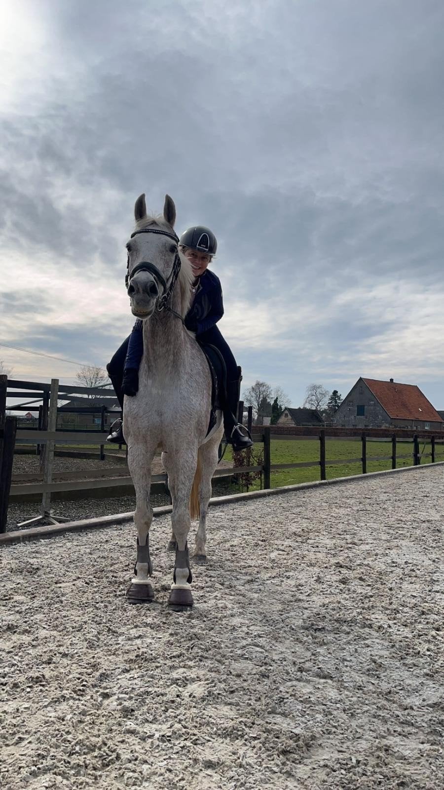 Lief, braaf, betrouwbaar ouder paard gezocht, Dieren en Toebehoren, Ruin, Dressuurpaard, 11 jaar of ouder