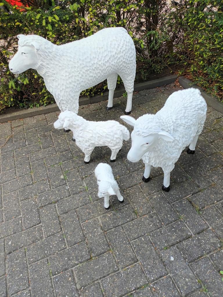 Grote en kleine schapen beelden polystone, Ophalen, Kunststof