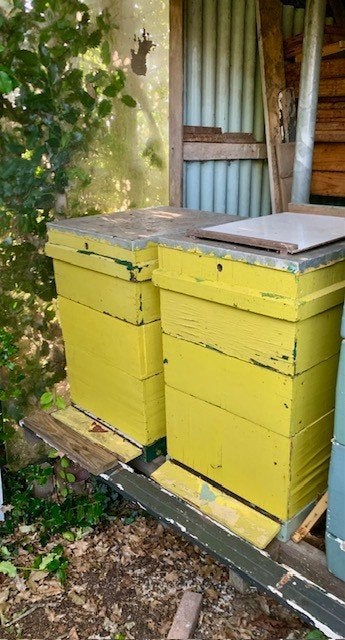 3 zesramers, 5 bijenkasten, 2 volken voor beginnende imkers, Dieren en Toebehoren, Insecten en Spinnen, Bijen