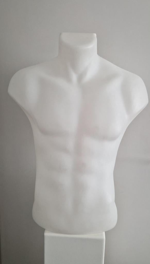 Witte Heren Torso Mannequin - Displaymodel, Kleding | Heren, Overige Herenkleding, Ophalen