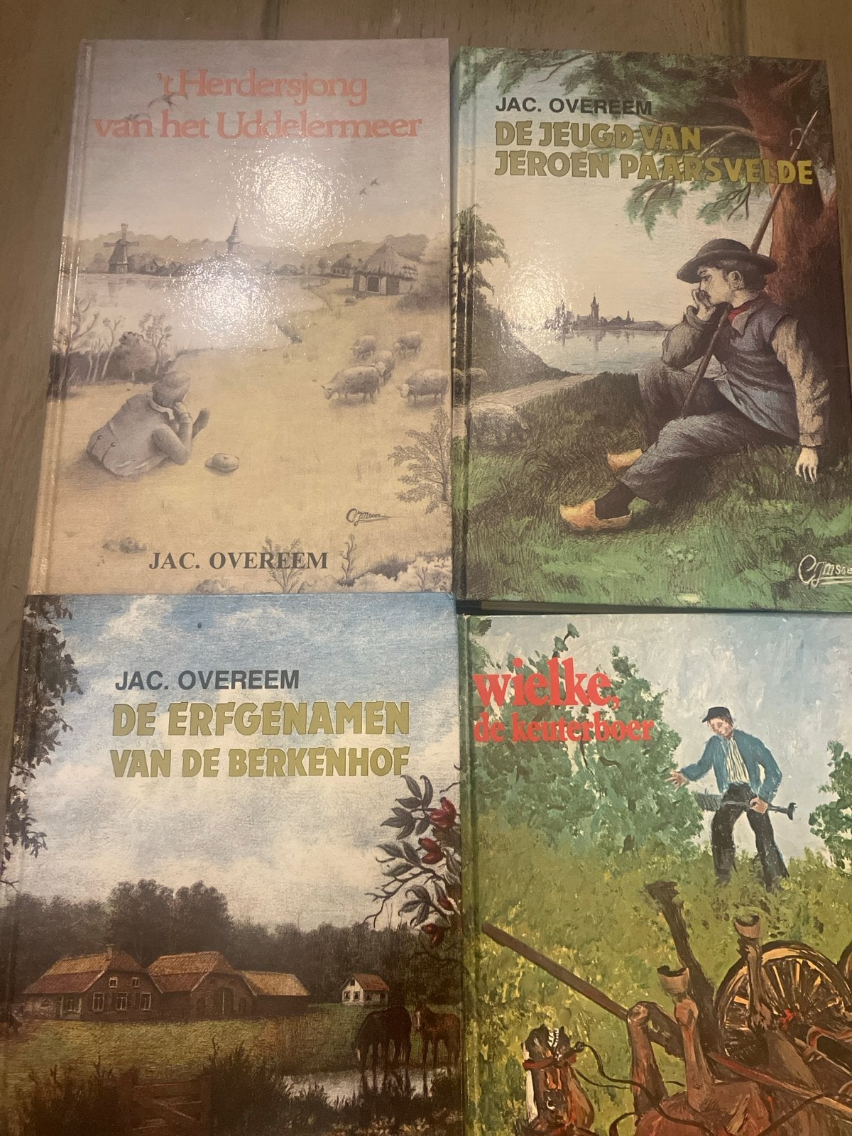 Jac. Overeem - De Erfgenamen van de Berkenhof (Trilogie), Ophalen of Verzenden, Gelezen, Nederland