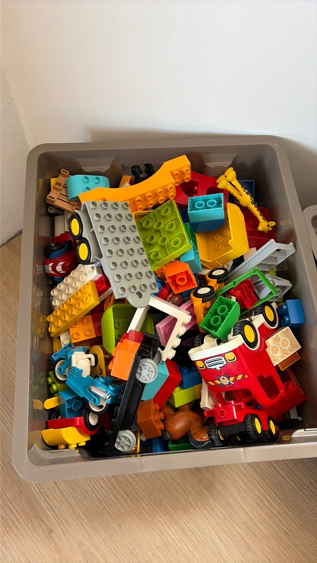 Grote partij duplo