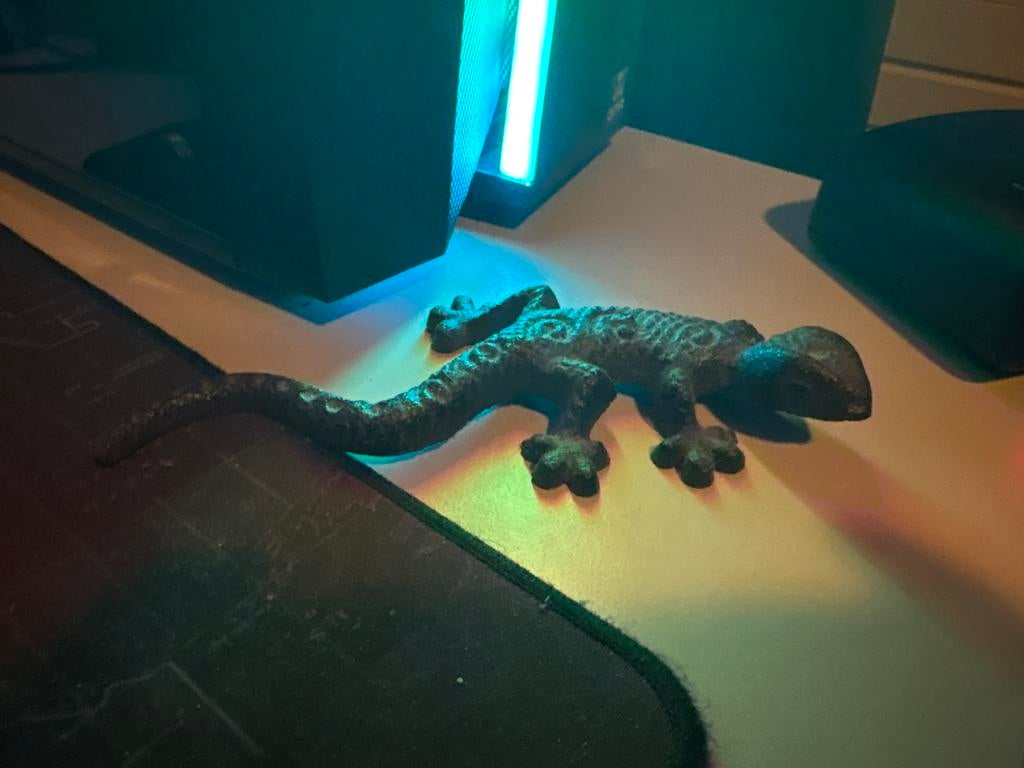 Mooi salamander beeldje, Ophalen of Verzenden, Zo goed als nieuw
