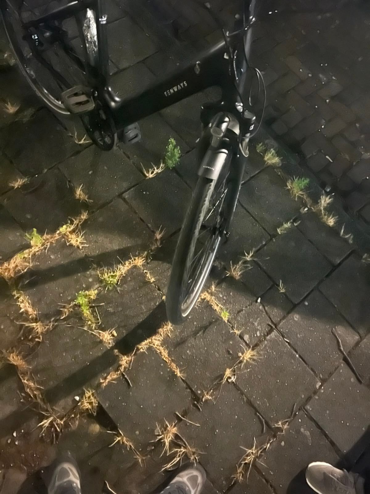 Tenways e-bike (zonder lader), Ophalen of Verzenden, Gebruikt, Overige merken