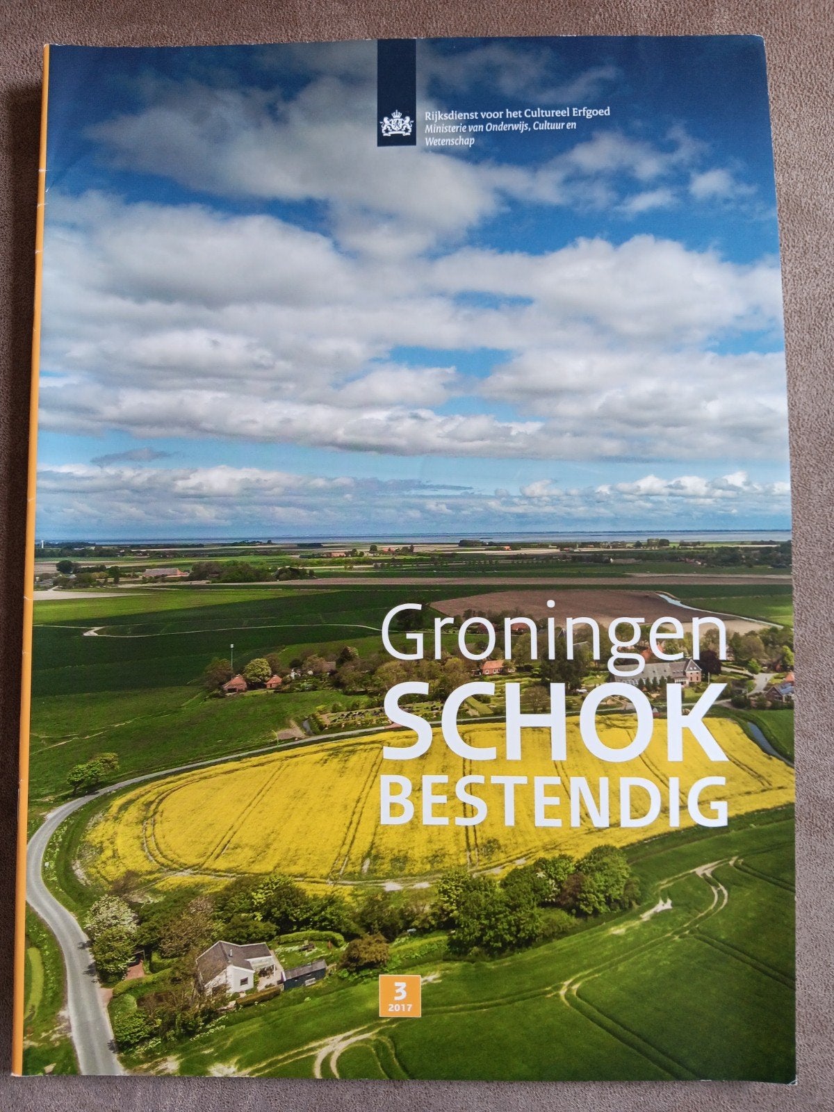 Groningen Schokbestendig - Rijksdienst Cultureel Erfgoed, Boeken, Ophalen of Verzenden, Zo goed als nieuw, Overige typen
