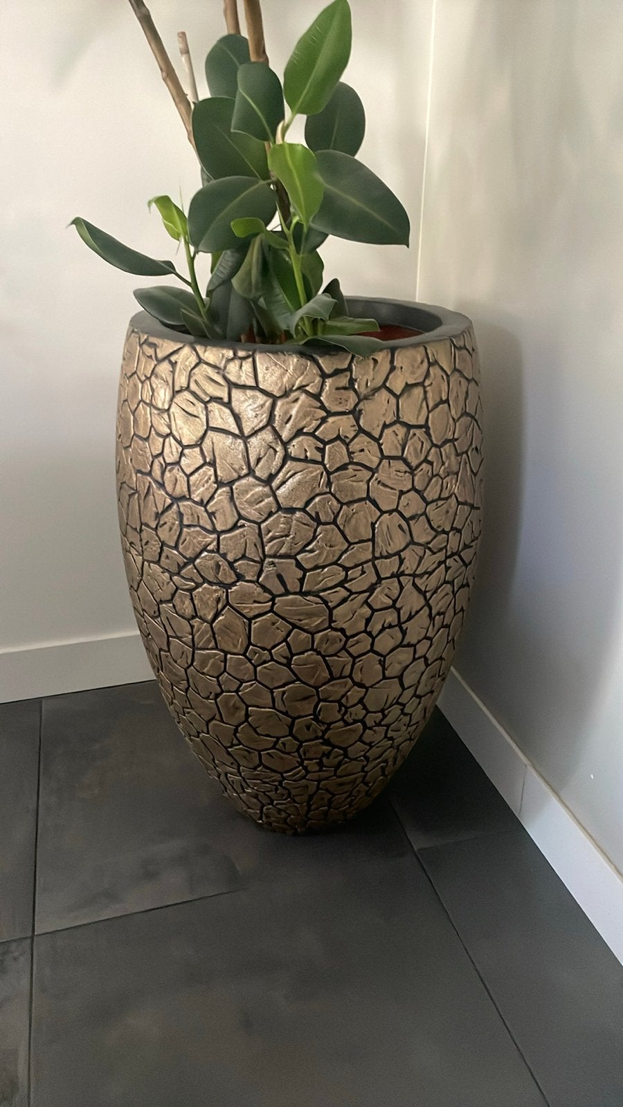 Grote Capi Europe bloempot/vaas, Tuin en Terras, Ophalen, Kunststof, Gebruikt, 40 cm of meer