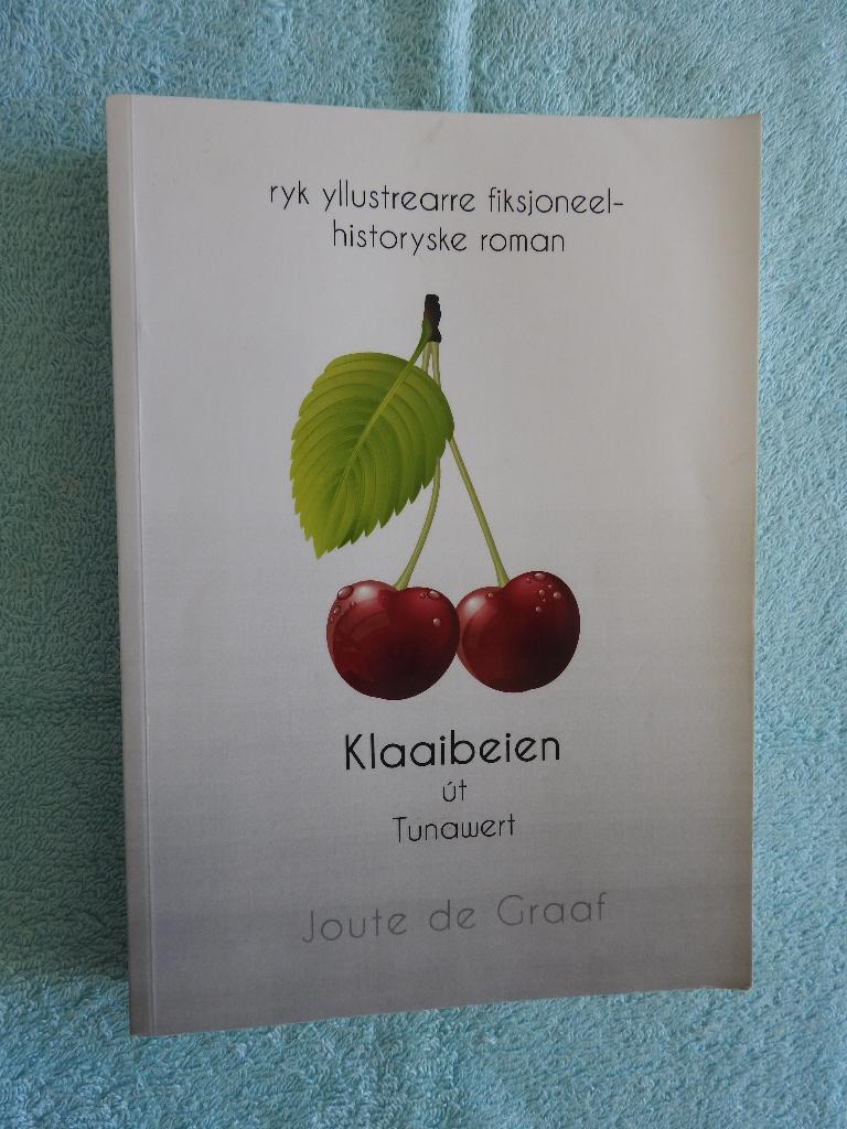Joute de Graaf - Klaaibeien út Tunawert - Ternaard, Ophalen of Verzenden, Zo goed als nieuw