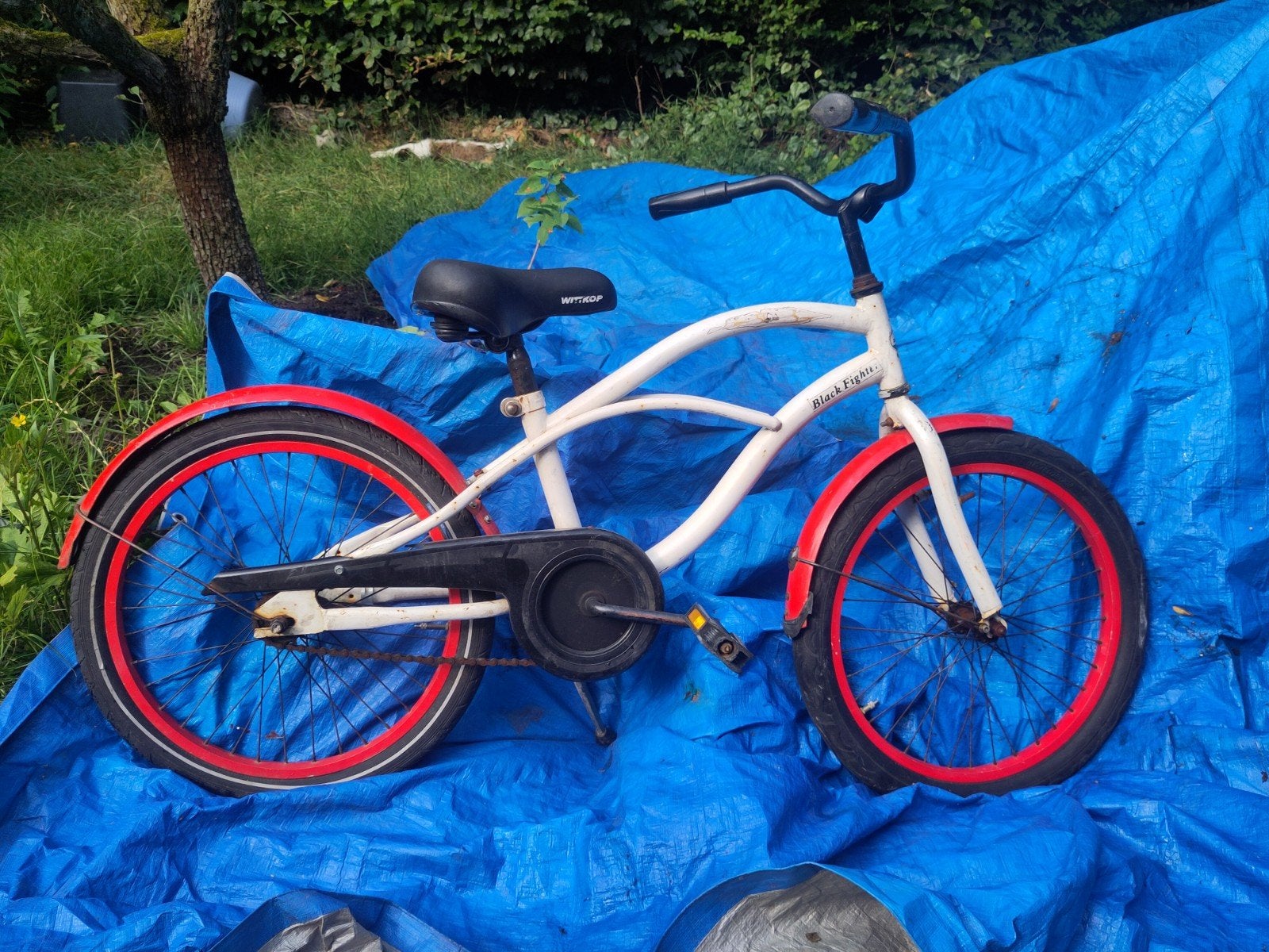 Popal Cruiser Kinderfiets 20 inch met Terugtraprem, Fietsen en Brommers, Ophalen, Gebruikt, Popal, Terugtraprem
