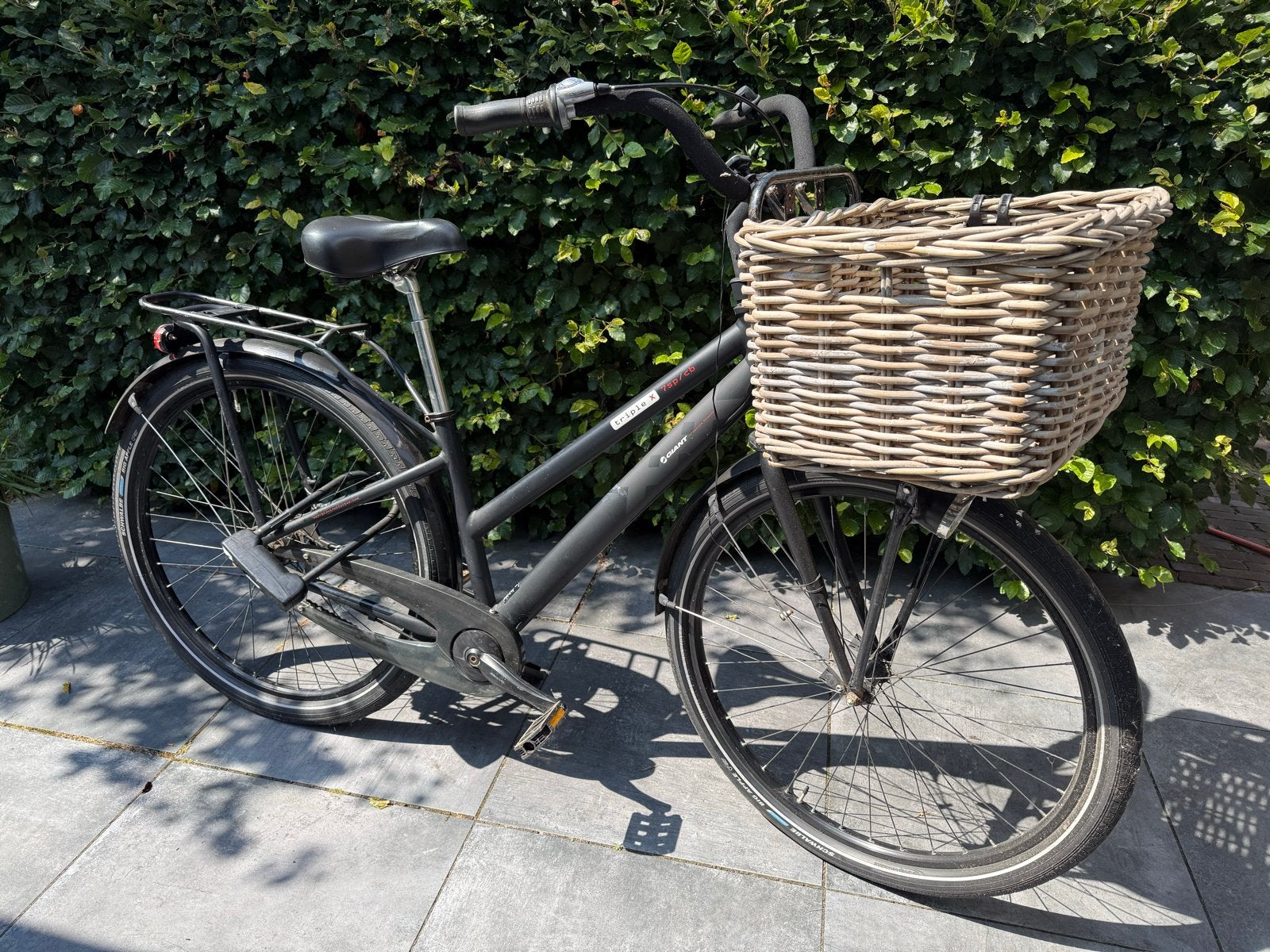 Giant Triple X Damesfiets met Mand - Gebruikt, Ophalen, Gebruikt, Velgrem, Versnellingen