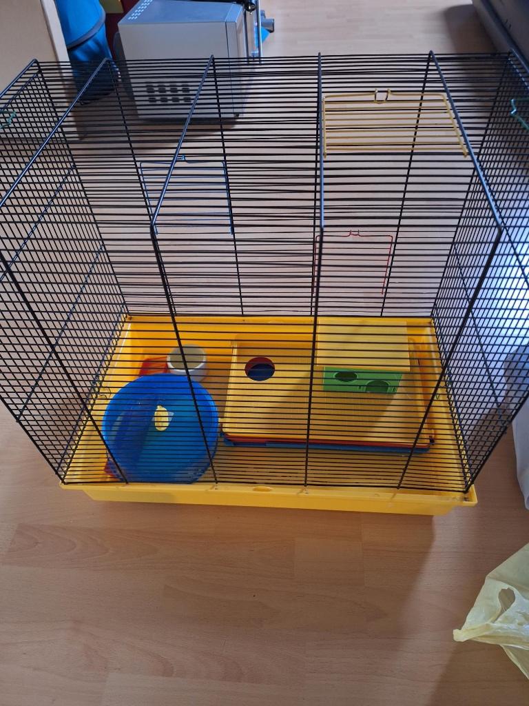 Hamsterverblijf, Kooi, Gebruikt, Minder dan 75 cm, Muis