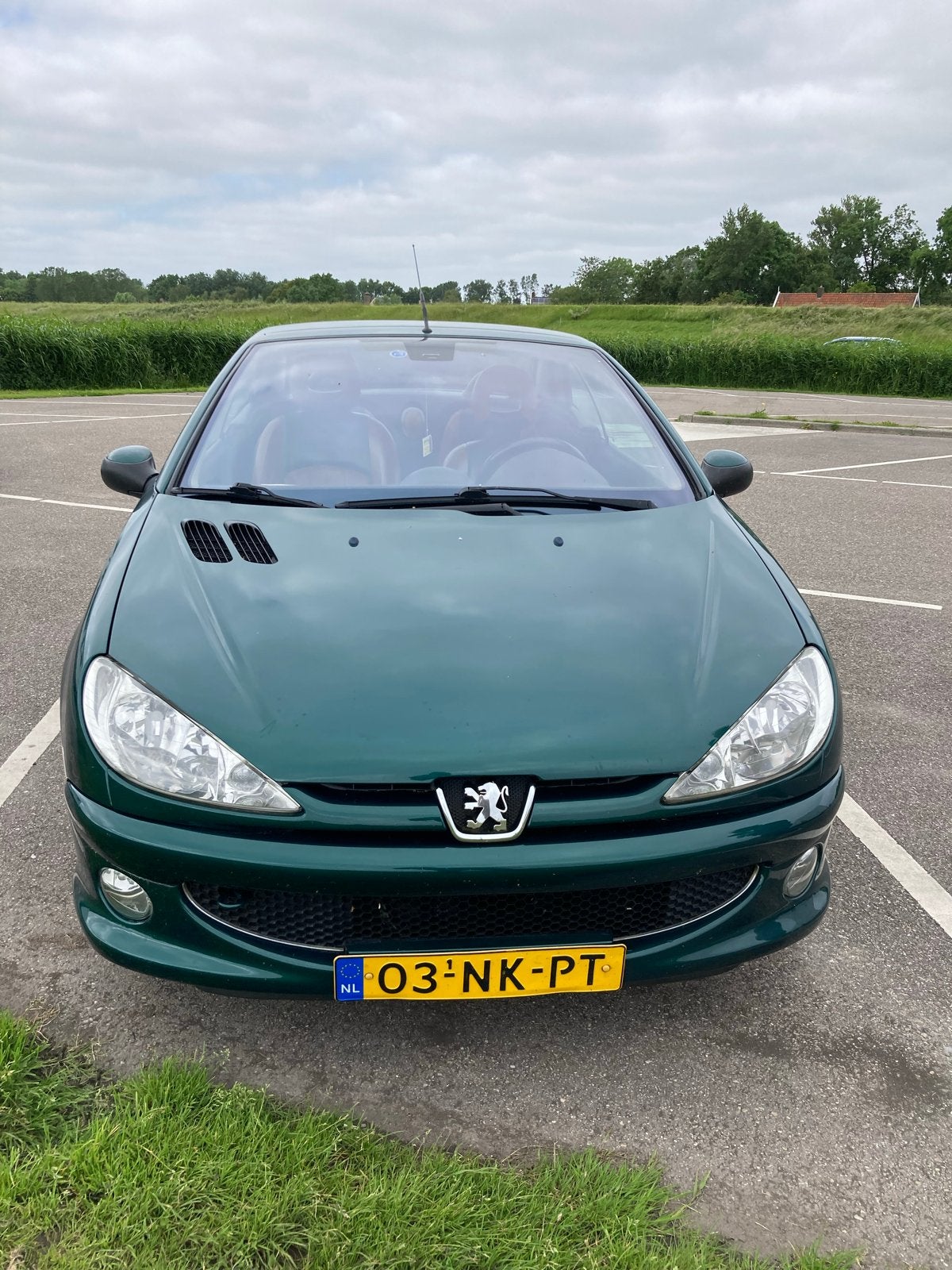 Peugeot 206 1.6 16V CC 2003 Groen, Voorwielaandrijving, 4 cilinders, Cabriolet, 4 stoelen