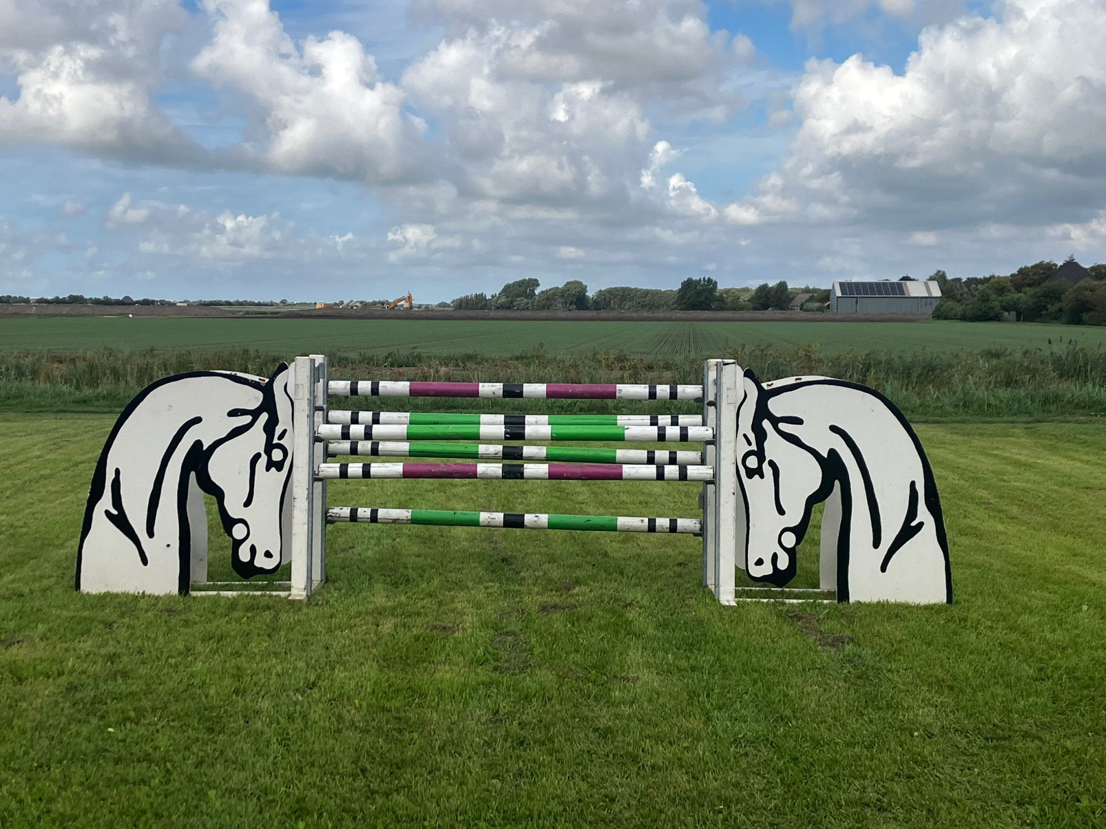 Springmateriaal paardenhoofden UNIEK, Ophalen, Gebruikt, Springen