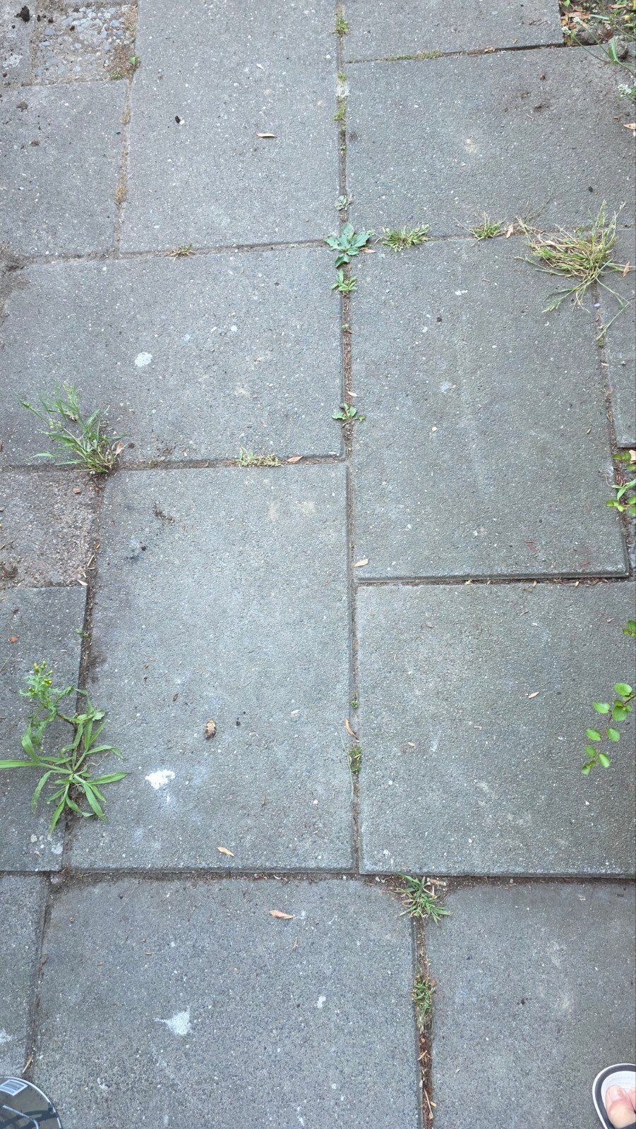 Gebruikte betonnen terrastegels, Ophalen, Gebruikt, Minder dan 5 m², Beton