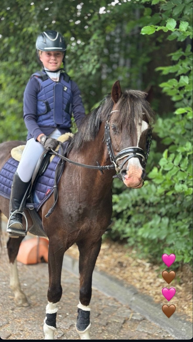 C pony te koop, Ruin, C pony (1.27m tot 1.37m), 11 jaar of ouder, Recreatiepony
