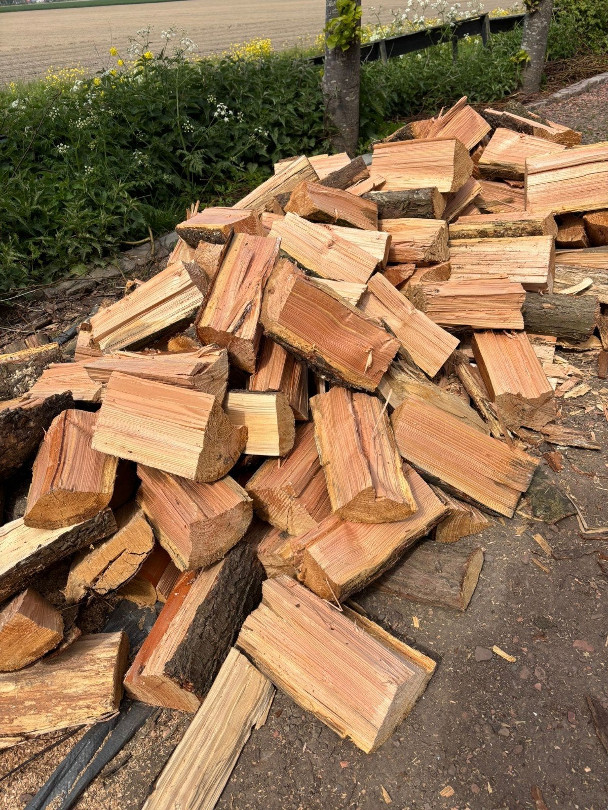 Schoon brandhout stookhout openhaardhout vuurkorf v/a €5,00!, Tuin en Terras, Haardhout, Minder dan 3 m³, Ophalen